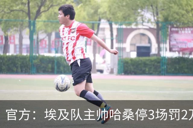 官方:埃及队主帅哈桑停3场罚2万美元,前锋齐科停5场