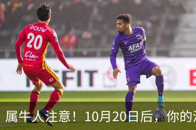 属牛人注意!10月20日后,你的清闲日子要暂时叫停了