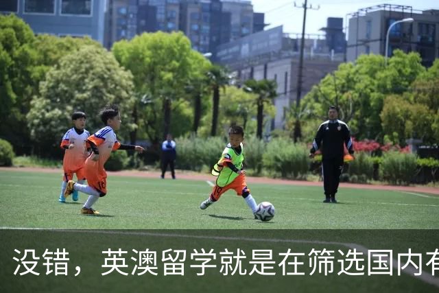 没错，英澳留学就是在筛选国内有钱人！